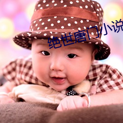 绝世唐门小说