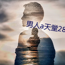 男人a天堂2814