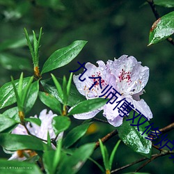 九个师(shī)傅(fù)双修炉鼎