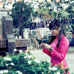 巅峰权力小说