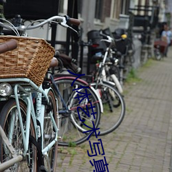 人体艺(藝)术写真视频在线(線)观(觀)看(看)