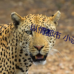 纵情都市 小说 （日月入怀）