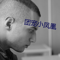 团宠小凤凰
