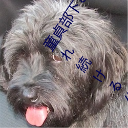 童(tóng)貞(zhēn)部下と出張先(xiān)でホテル相部屋 翌朝(cháo)までベロチュウ姦され続ける化粧品(pǐn)メー