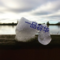 一品容华
