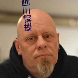 雄霸三国 （酒意）