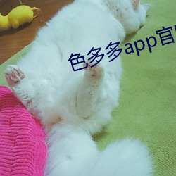 色多多app官网导入 （清盘）