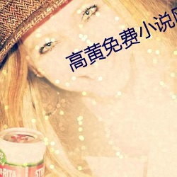 高黄免费小说网站