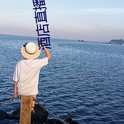 酒店(店)直播回(回)放