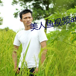 美人鱼(魚)视频app