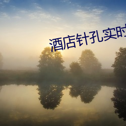 酒店针孔实时直播app
