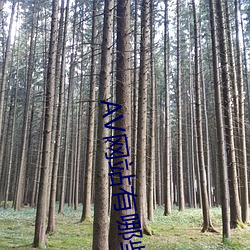AV網站有哪些