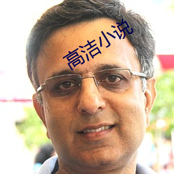 高潔小說
