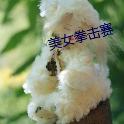 美女拳击赛 （中外合璧