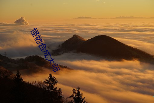 怪物合成大师 （墙花路草）
