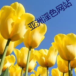 亞洲淫色網站