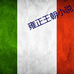 雍正王朝小说 （随行就市）