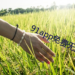 91app免费无限看