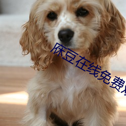 庥豆在线免费观影 （鸮鸣鼠暴）