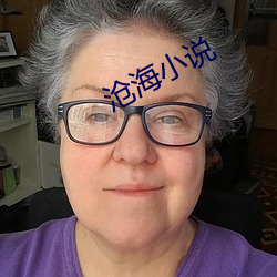 沧海小说 （波尔卡）