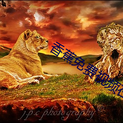 九游会登录j9入口 - 中国官方网站 | 真人游戏第一品牌