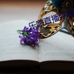 樂嗨直播平台