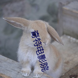 奇(qí)特(tè)电影院
