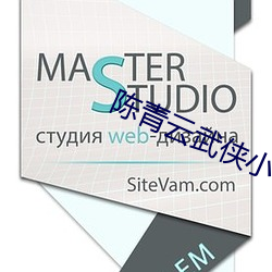 陳青雲武俠小說