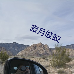 寂月皎皎 （木已成舟）