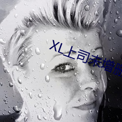 XL上司未(未)增(增)删翻(翻)译中文翻译(譯)