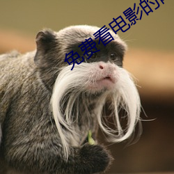 免(免)费看电影的(的)网站