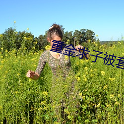 重金求子被套路(l)