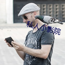 私人小影院
