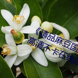 《精(精)品麻(麻)豆(豆)国产乱(亂)码一(一)区二区三(三)区》高清不(不)卡在线寓目