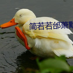 簡若若邰蕭默小說全文免費閱讀