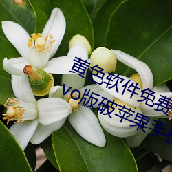 黄色软件免费下载3.0.3每天无限次vivo版破苹果手机