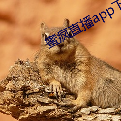 蜜疯直播app下载(載)