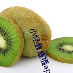 小怪兽直播app （目不苟视）