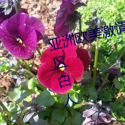 亚洲(洲)欧美激情综合精品(品)一区(區)二区三区白人