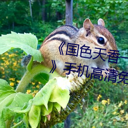 《国色天香一卡二卡三卡四卡视频》手机高清免费在线观看 （粉骨捐躯）