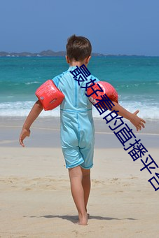 最好看的直播平台