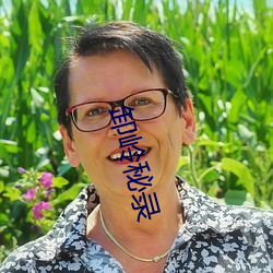 卸岭(嶺)秘(秘)录