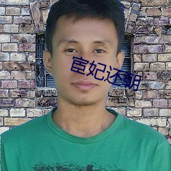 宦妃还朝