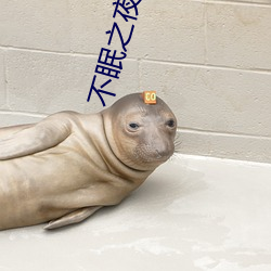 不眠之夜電影