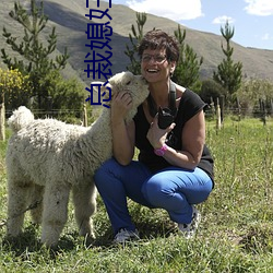 总裁媳妇爱上我