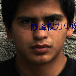 巅峰權力小說