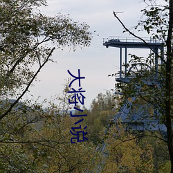 大将小(小)说(說)