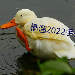 槽(co)溜2022手机