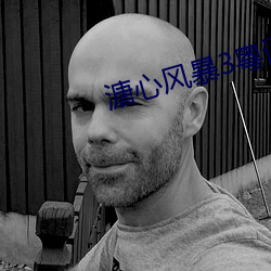 溏(溏)心(心)风(風)暴3粤(粵)语