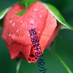 被强奸乱(luàn)伦小说